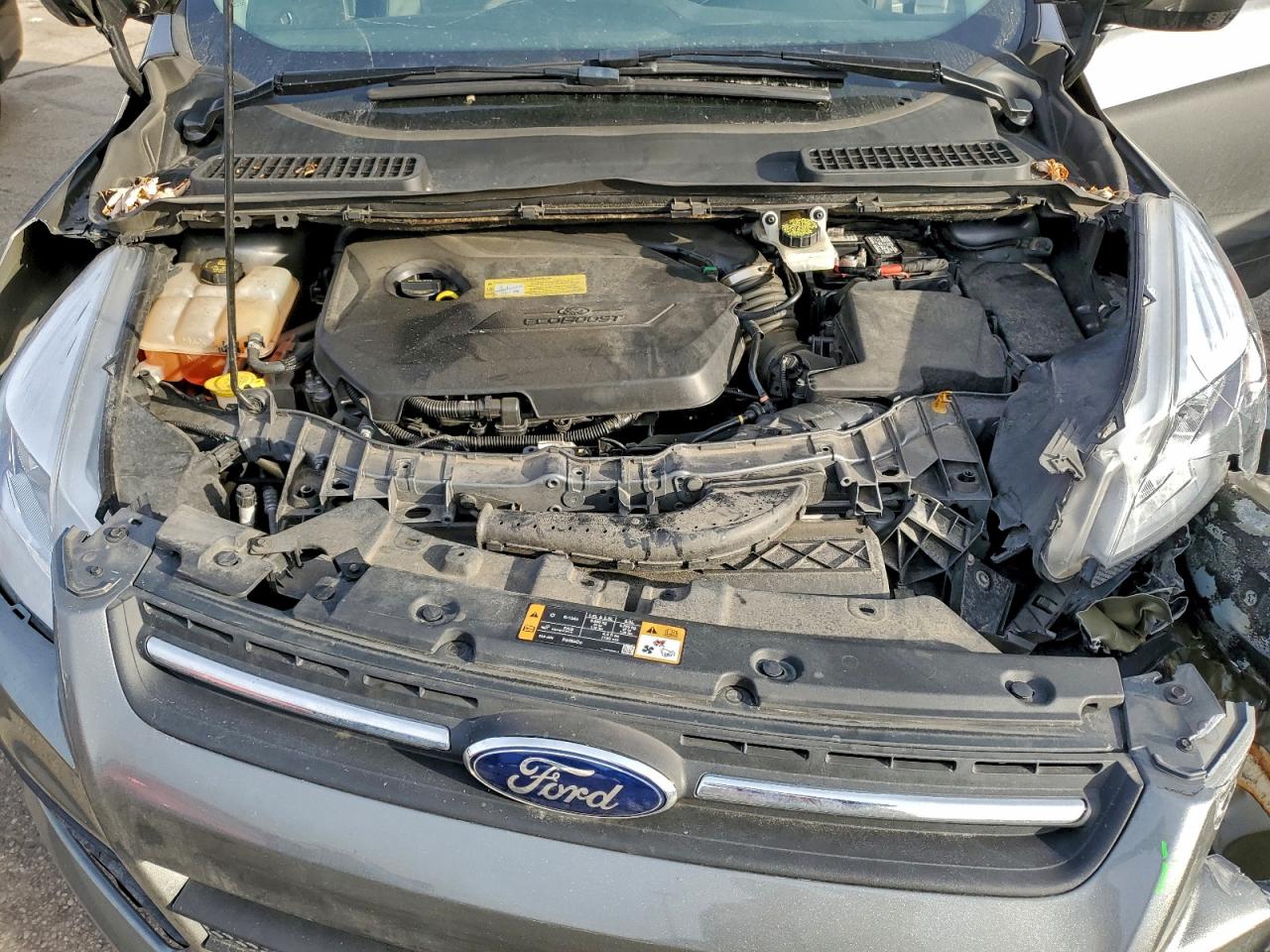 2014 FORD ESCAPE SE photo 12