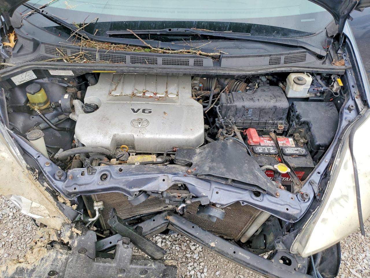 2009 TOYOTA SIENNA CE photo 12