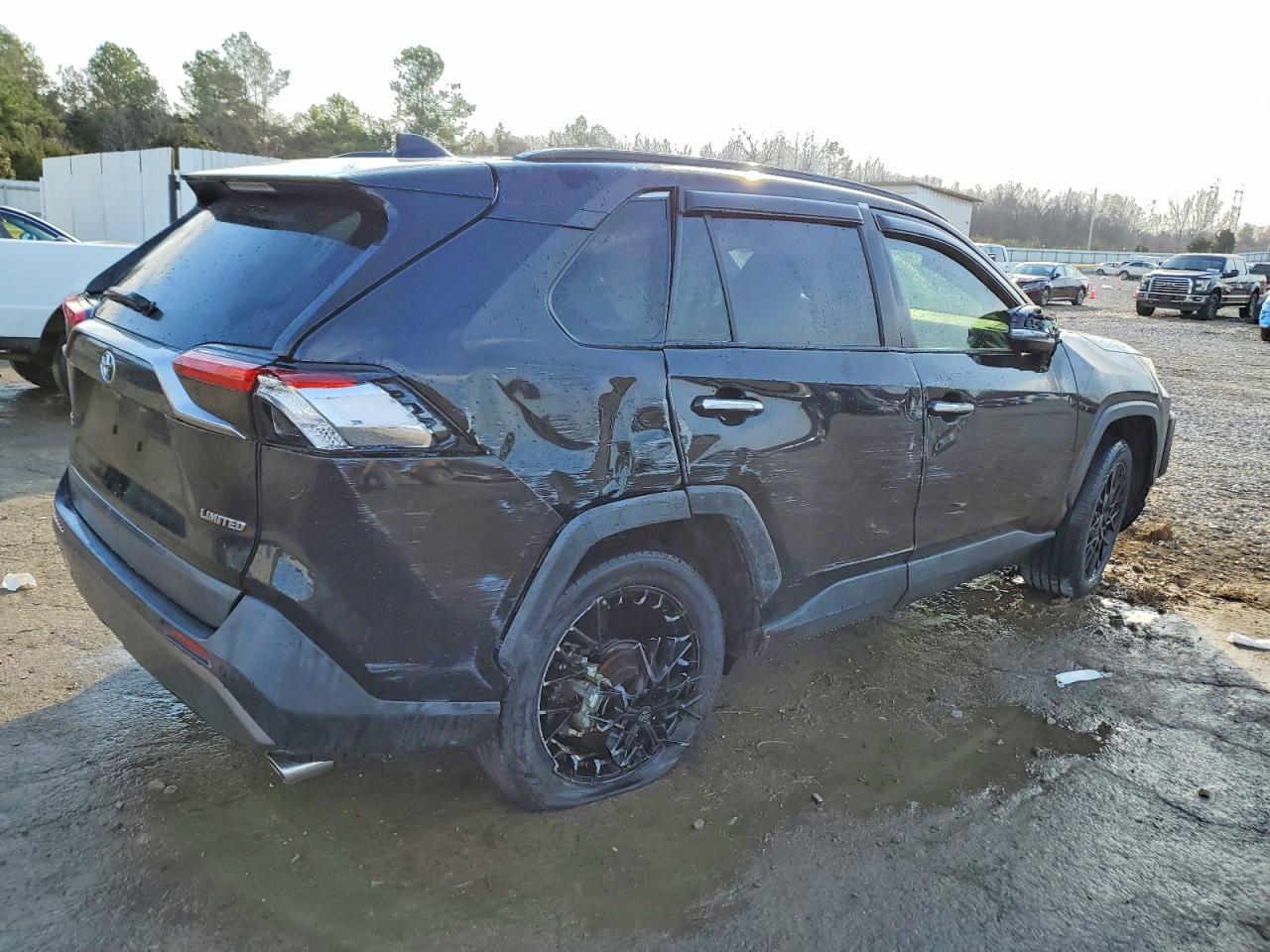 2019 TOYOTA RAV4 LIMITED photo 3