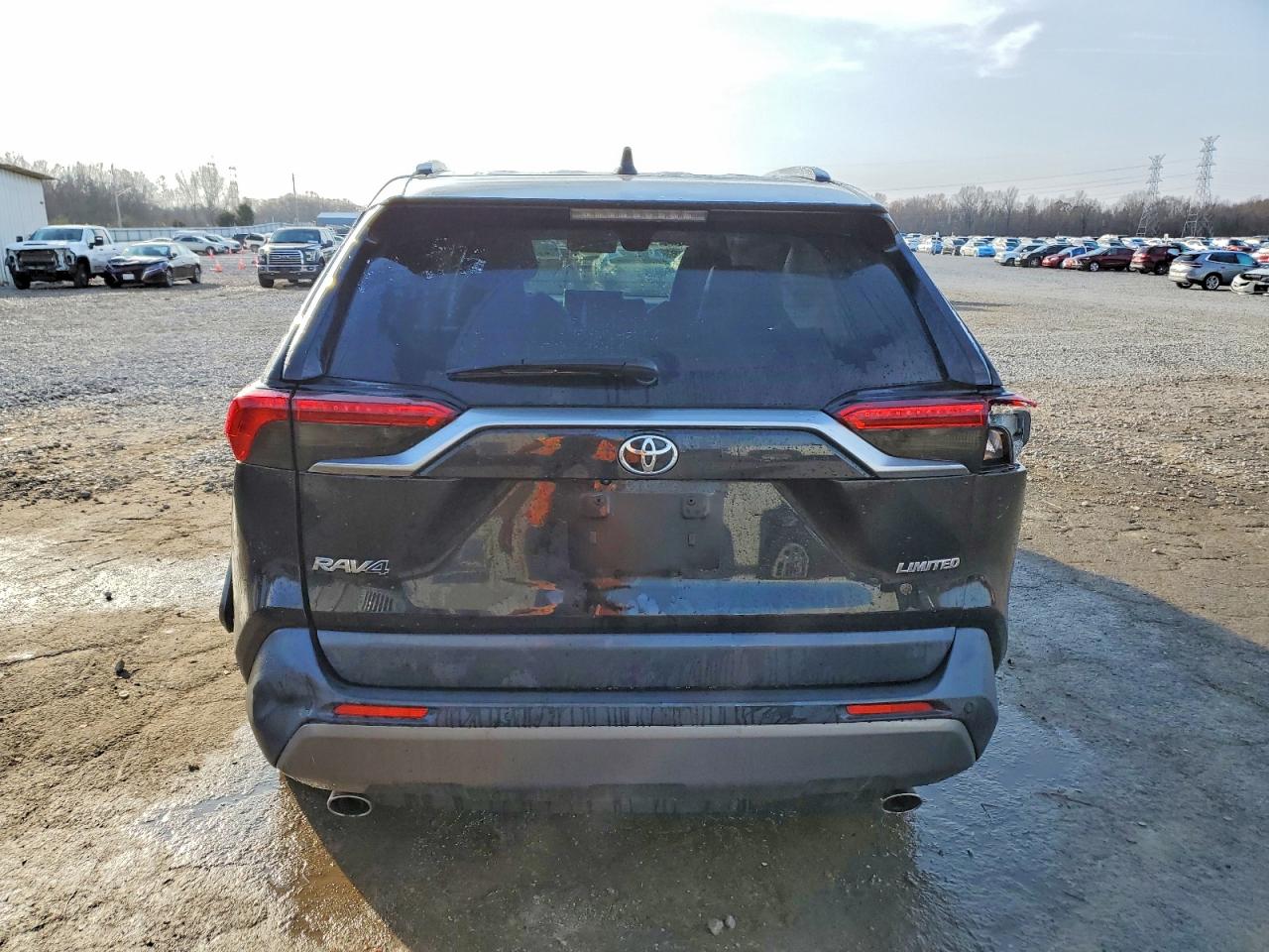 2019 TOYOTA RAV4 LIMITED photo 6