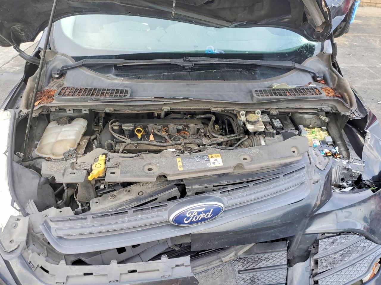 2014 FORD ESCAPE S photo 11