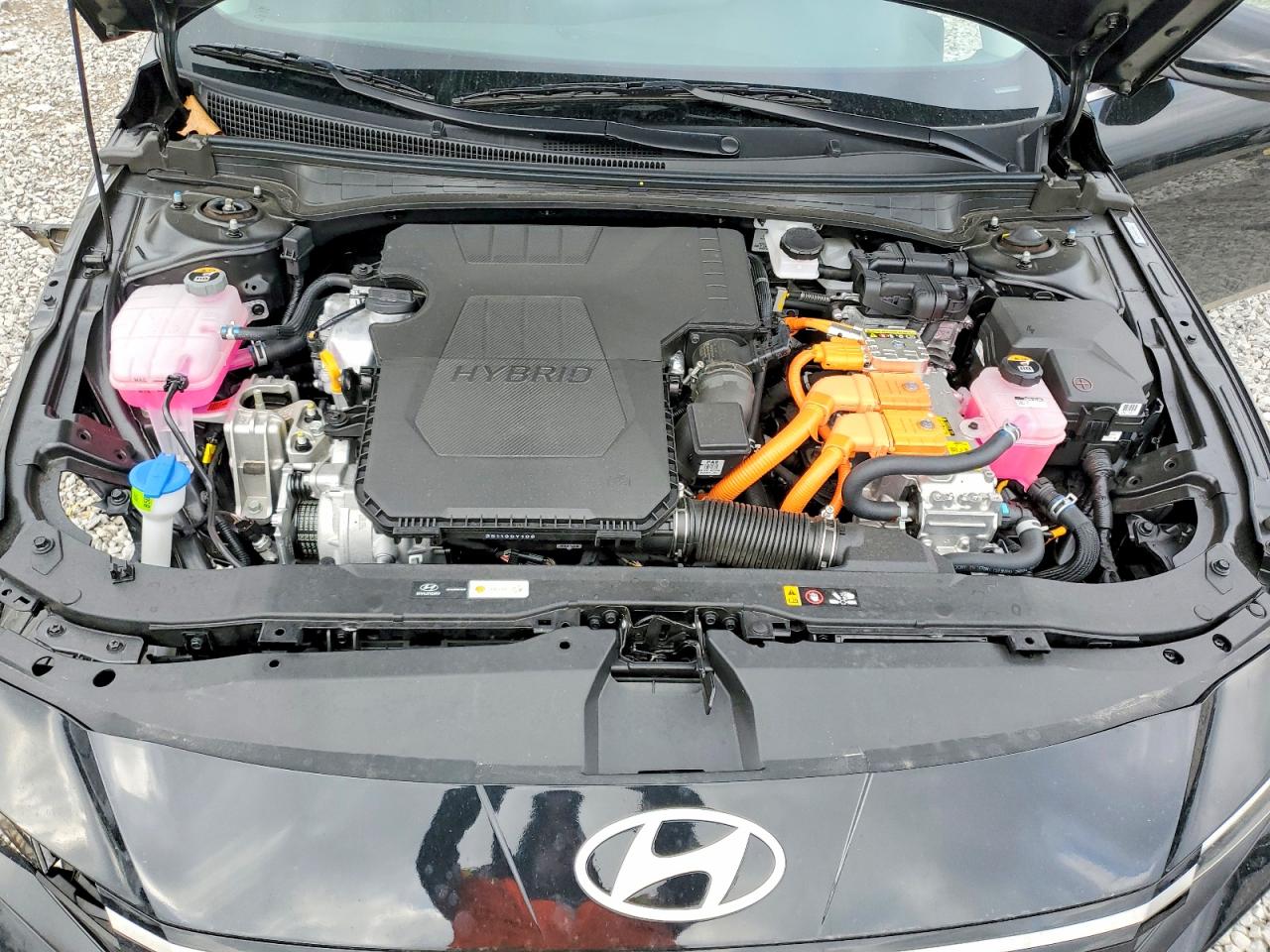 2025 HYUNDAI ELANTRA LIMITED photo 11