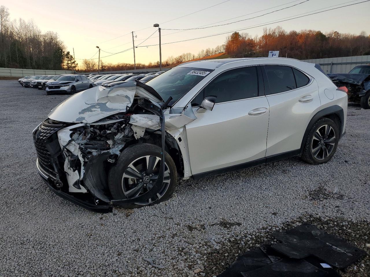 2019 LEXUS UX