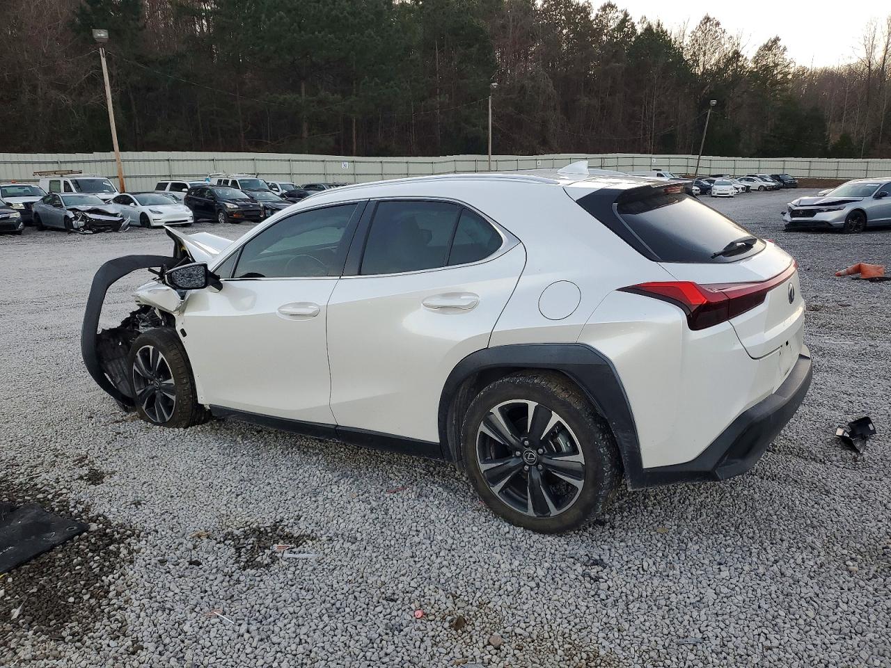 2019 LEXUS UX 200 photo 2