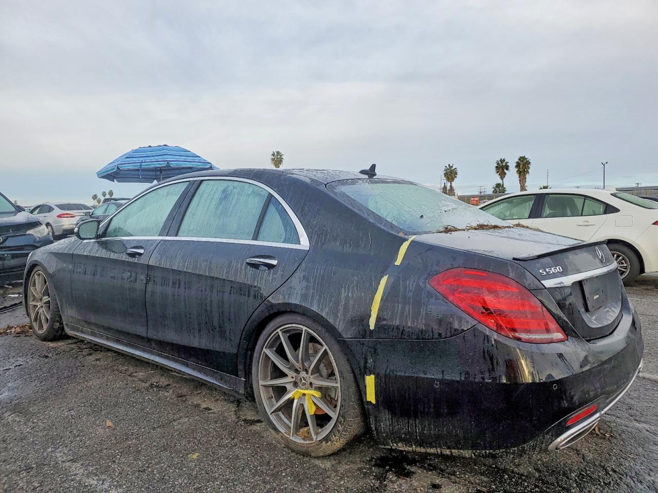 2019 MERCEDES-BENZ S 560 photo 3