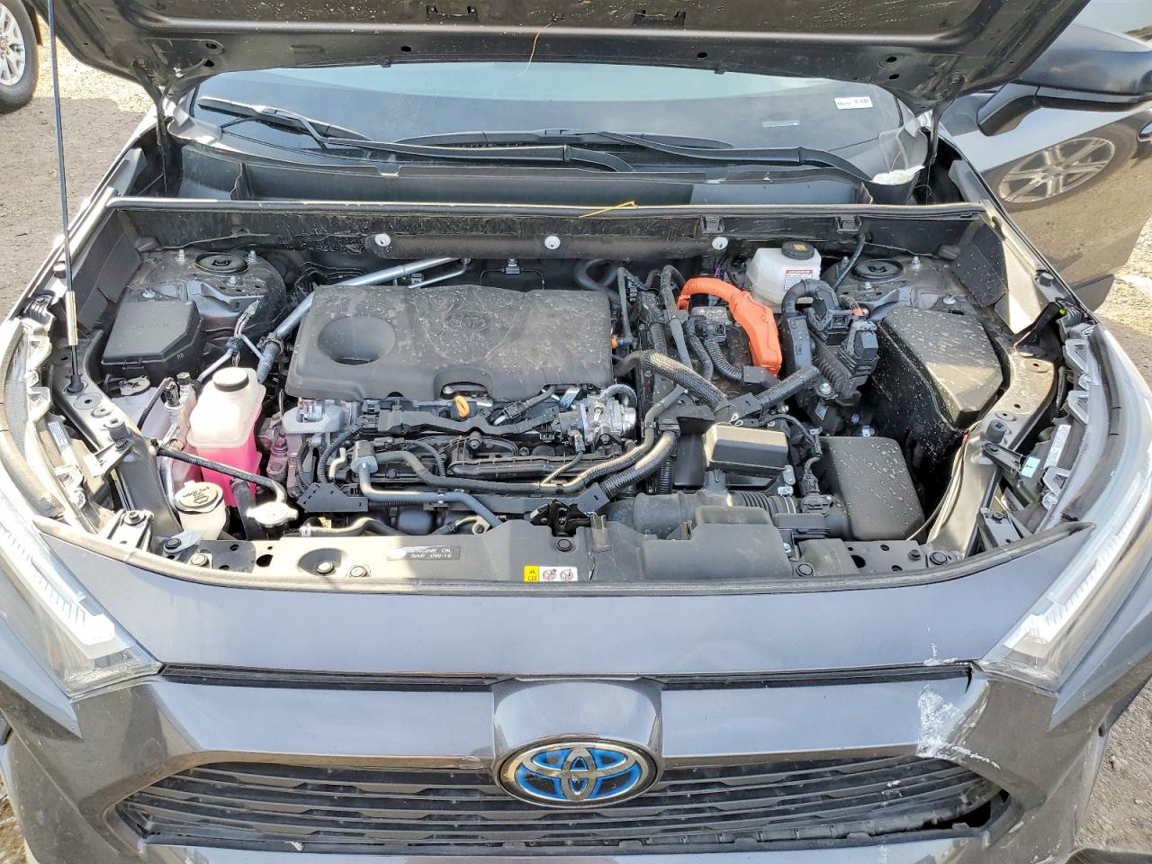 2024 TOYOTA RAV4 LE photo 12