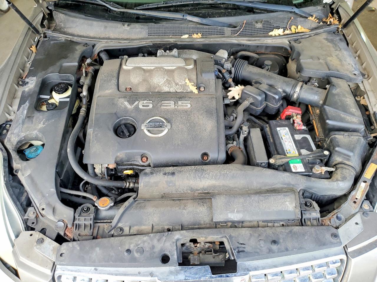 2006 NISSAN MAXIMA SE photo 11