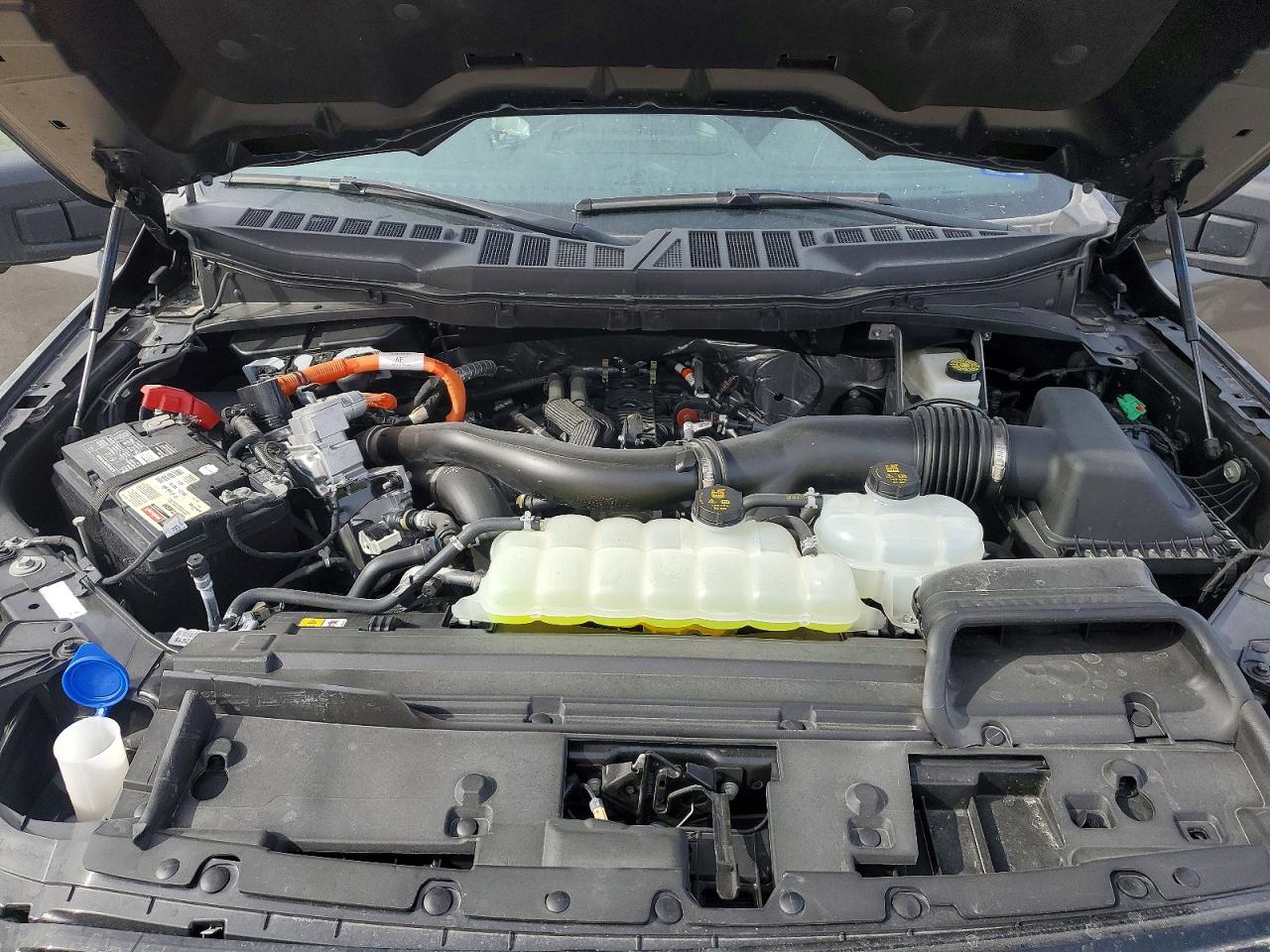 2025 FORD F150 XLT photo 21