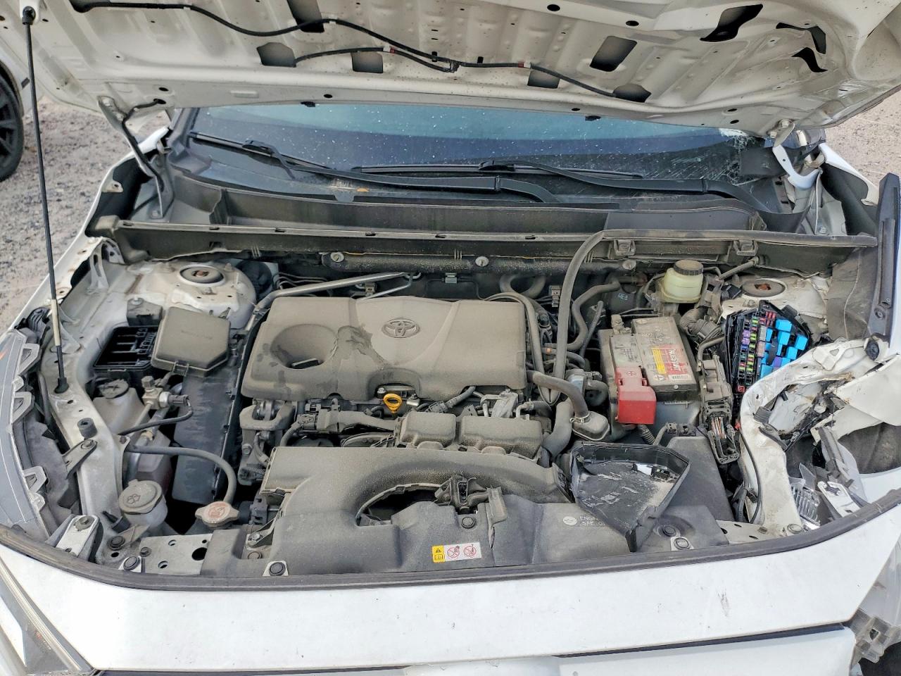 2019 TOYOTA RAV4 XLE photo 45