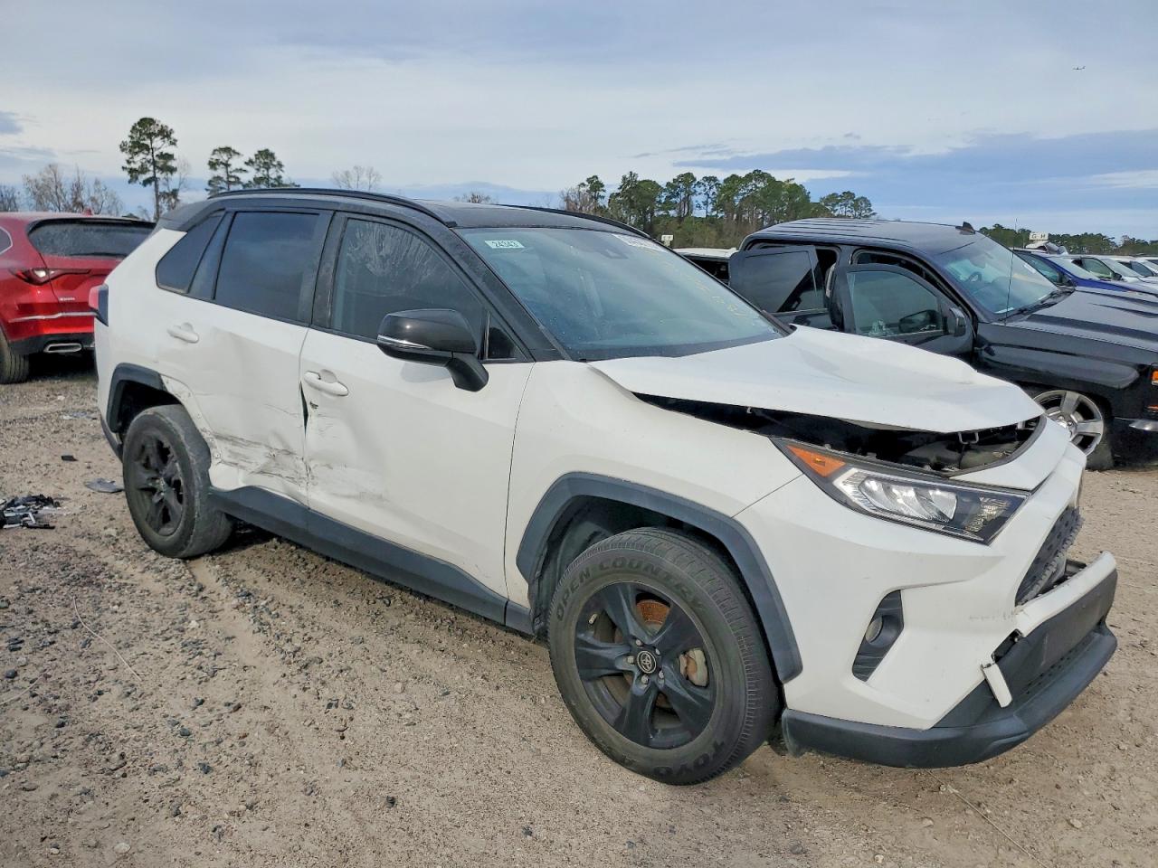 2019 TOYOTA RAV4 XLE photo 13