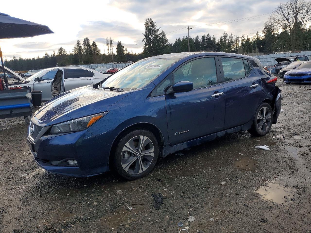2019 NISSAN LEAF