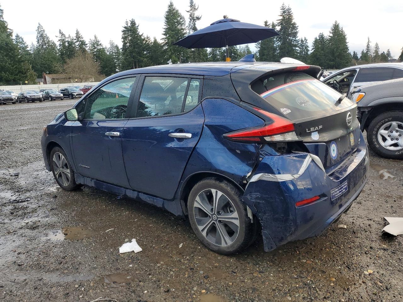 2019 NISSAN LEAF S PLUS photo 2