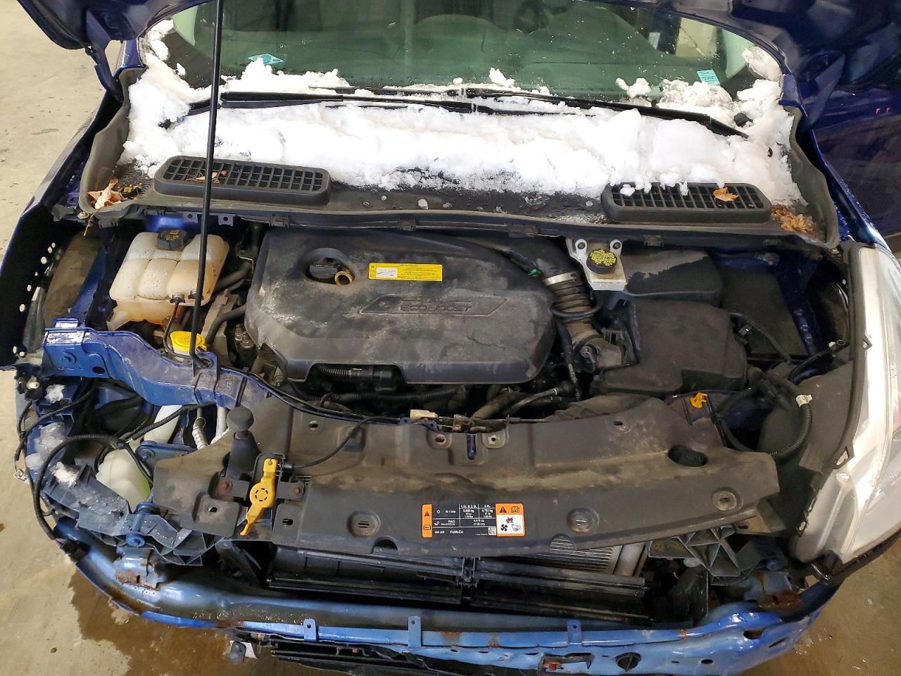 2016 FORD ESCAPE SE photo 23