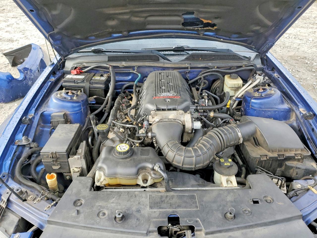 2008 FORD MUSTANG GT photo 11