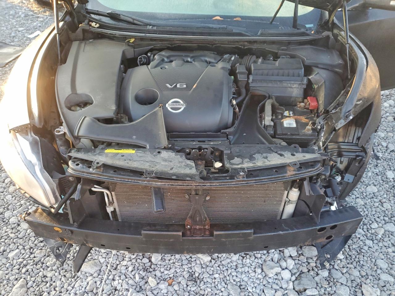 2010 NISSAN MAXIMA S photo 11