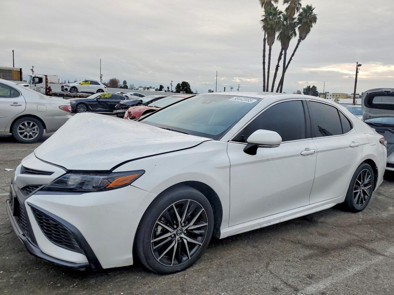 2023 TOYOTA CAMRY