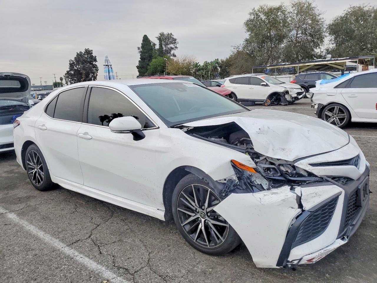 2023 TOYOTA CAMRY SE NIGHT SHADE photo 4