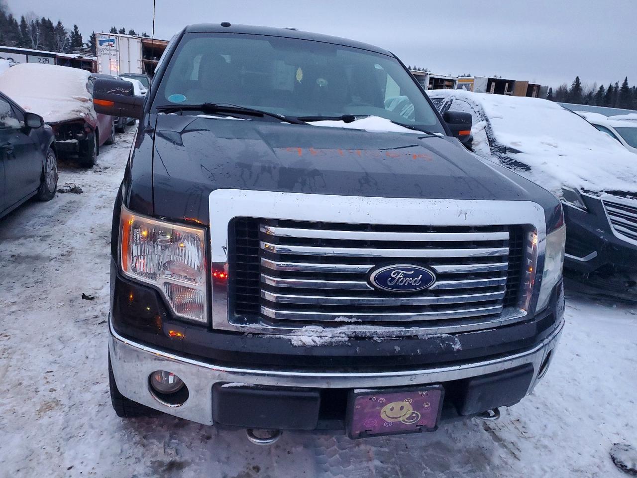 2010 FORD F150 SUPERCREW photo 5
