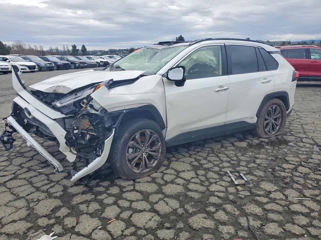 2024 TOYOTA RAV4
