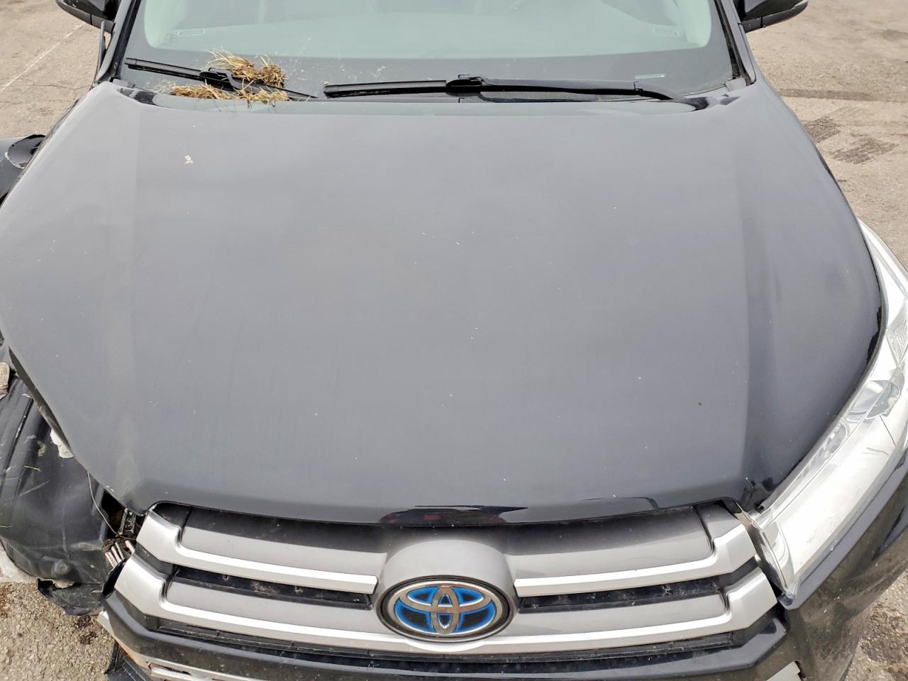 2017 TOYOTA HIGHLANDER HYBRID photo 12