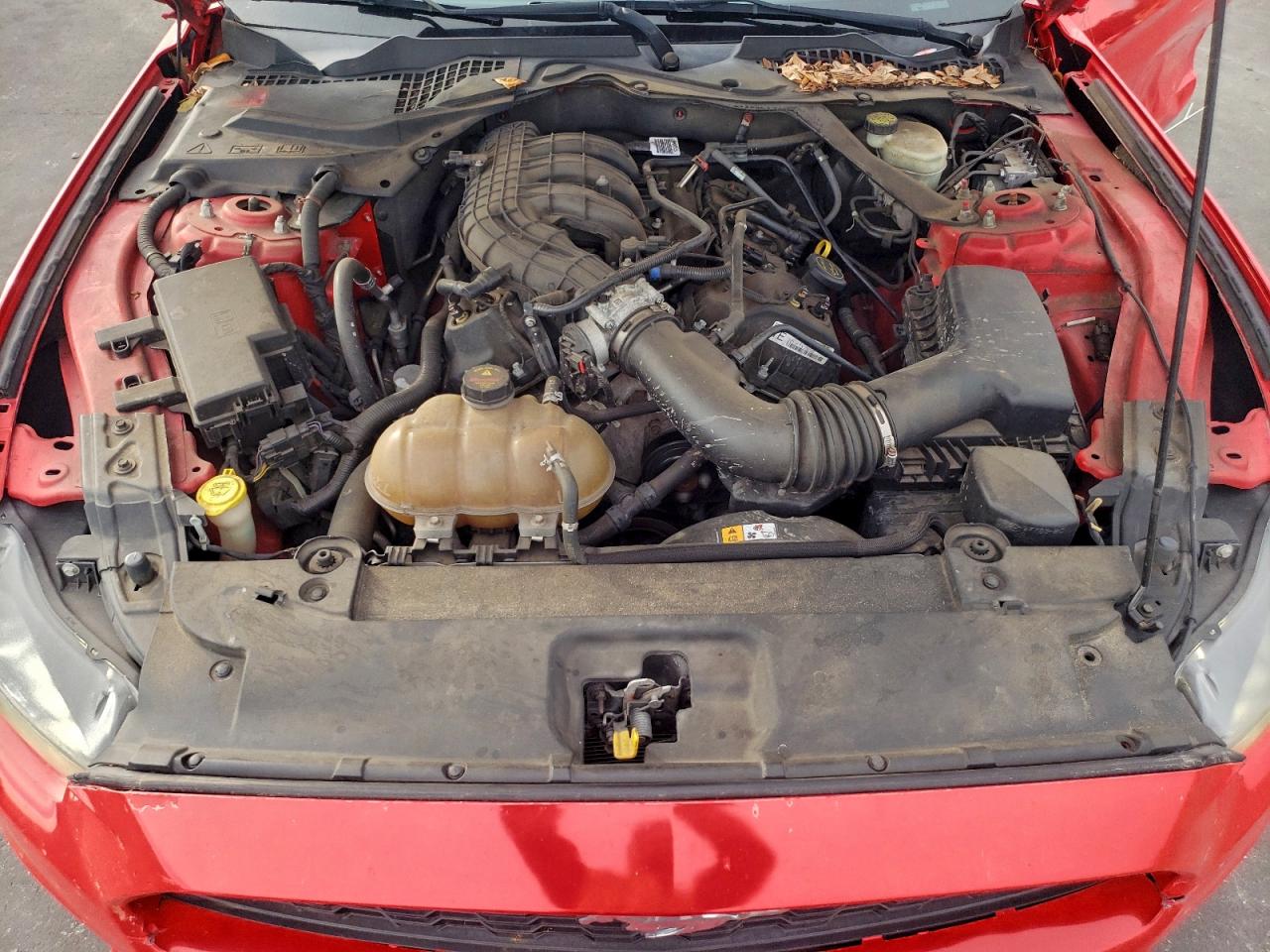 2015 FORD MUSTANG photo 21