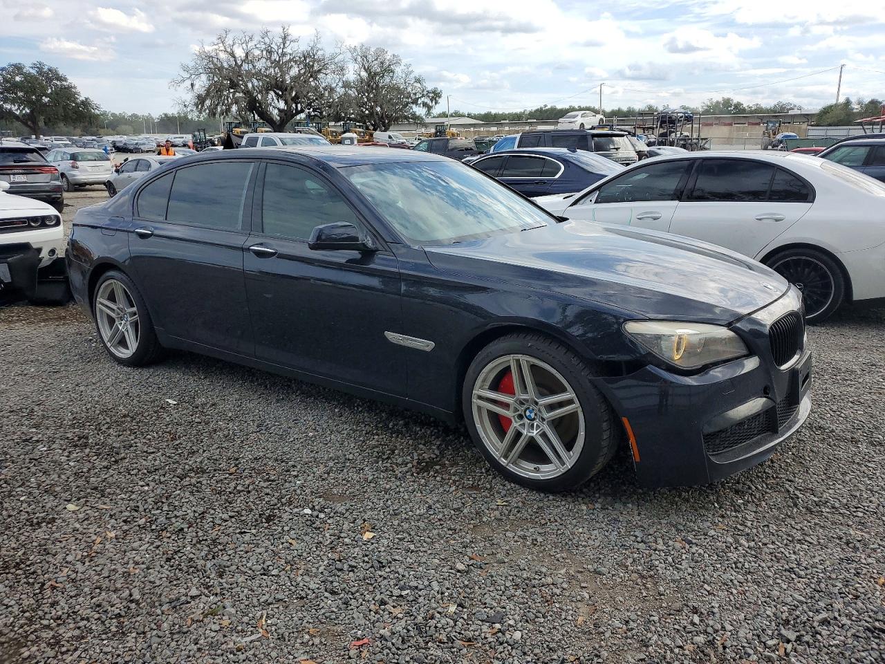 2012 BMW 750 LXI photo 7