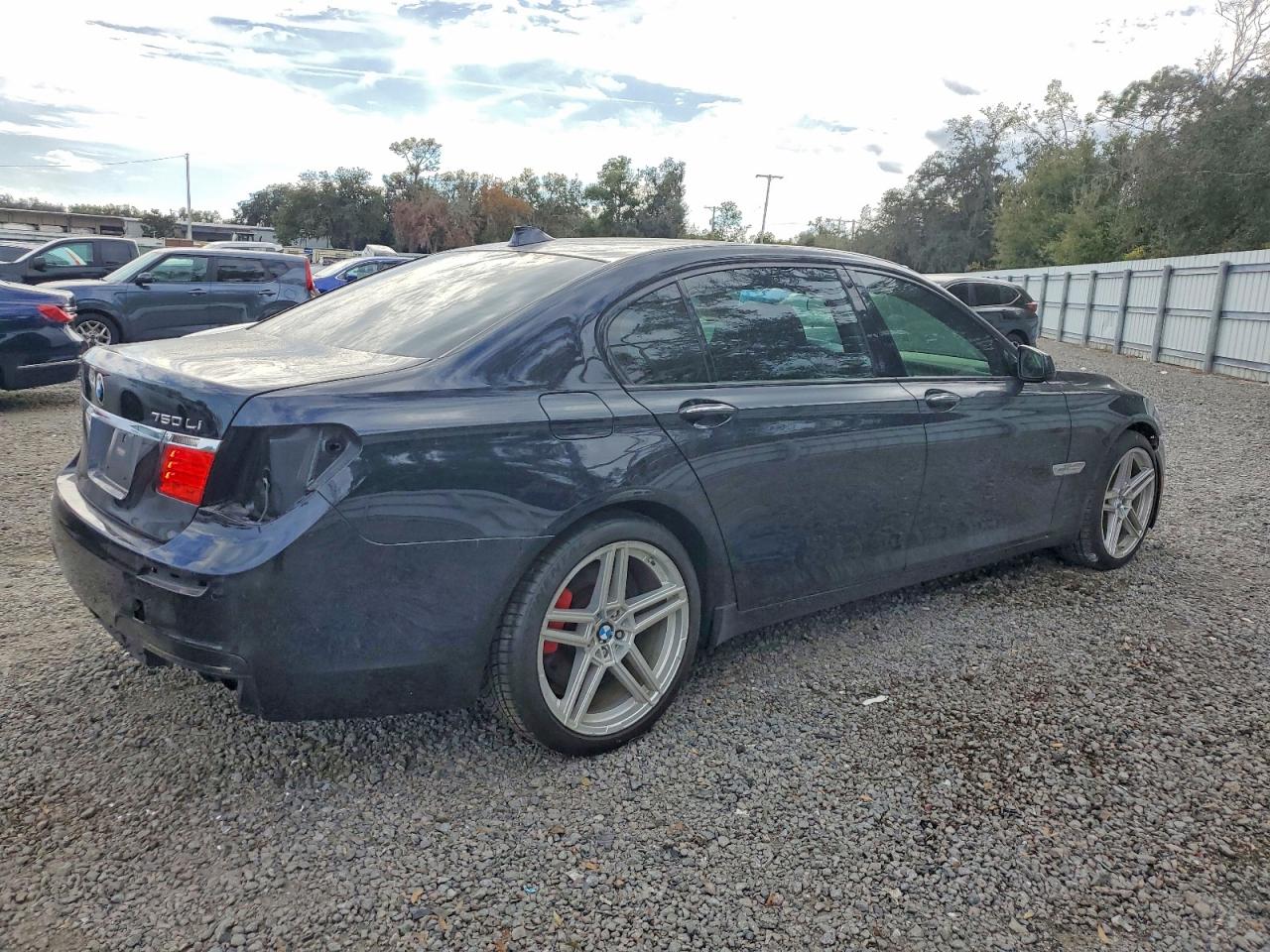 2012 BMW 750 LXI photo 5