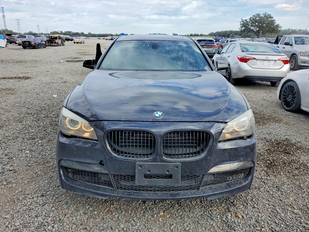 2012 BMW 750 LXI photo 9