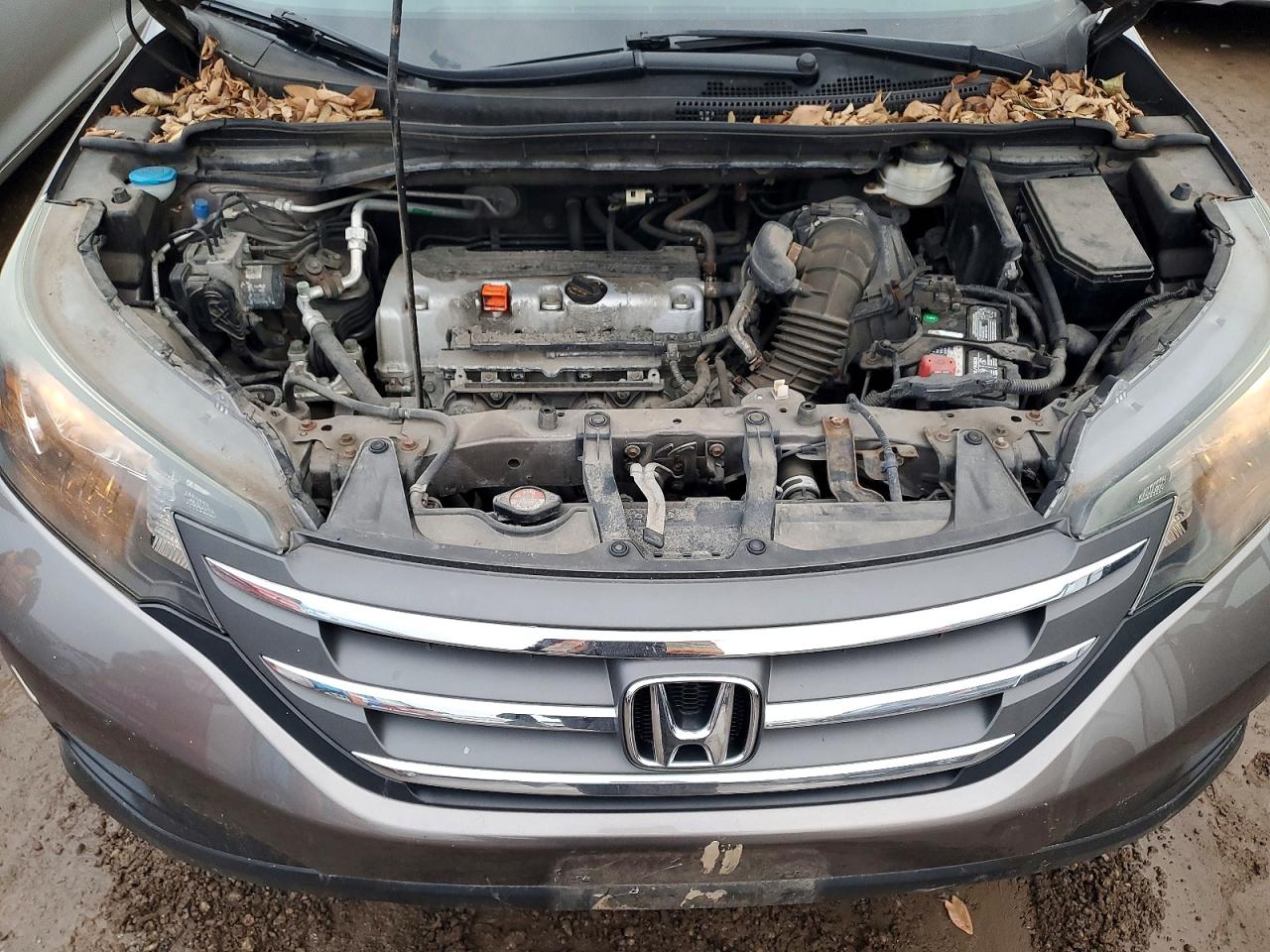 2013 HONDA CR-V LX photo 12