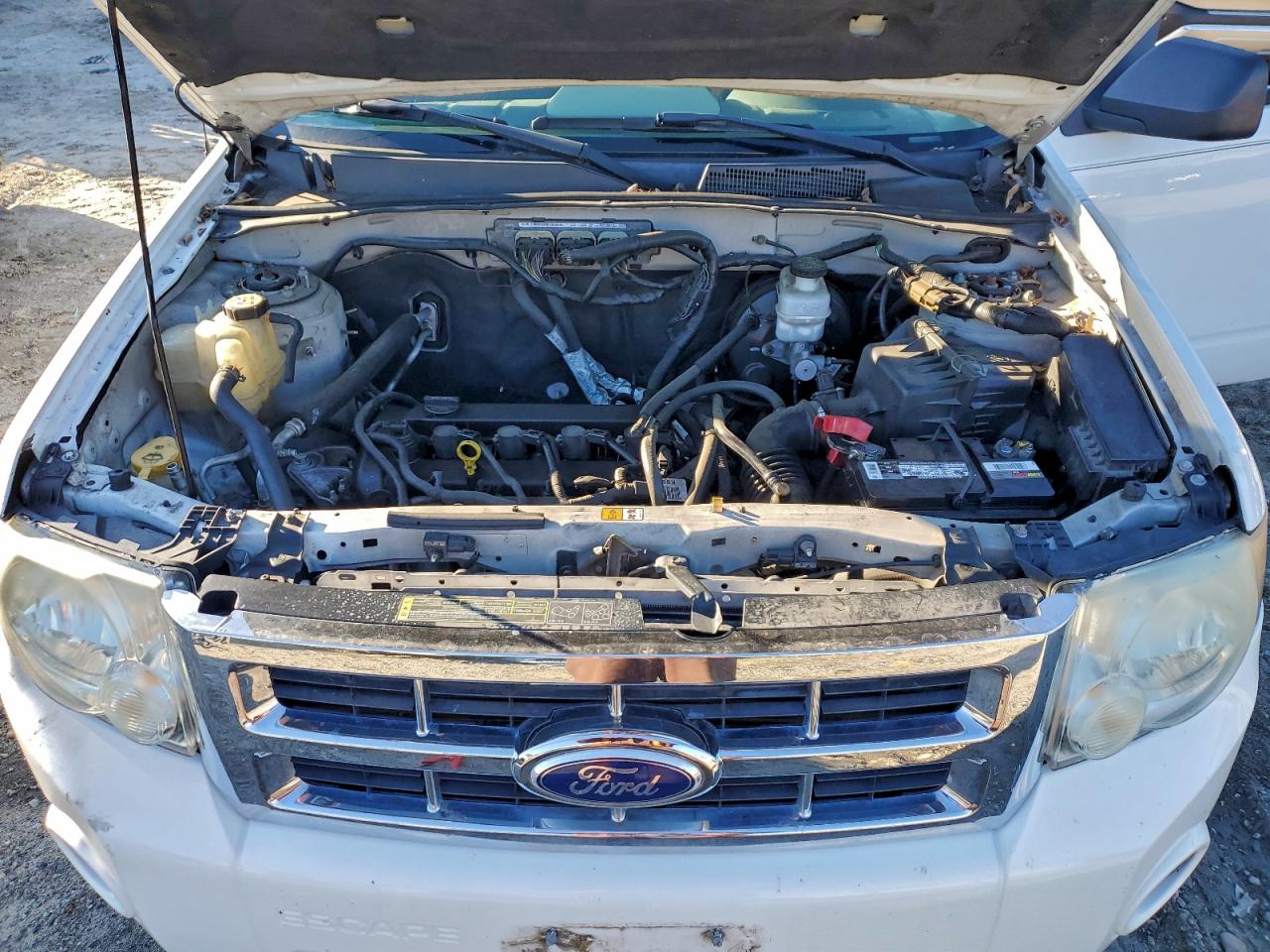 2010 FORD ESCAPE XLS photo 12