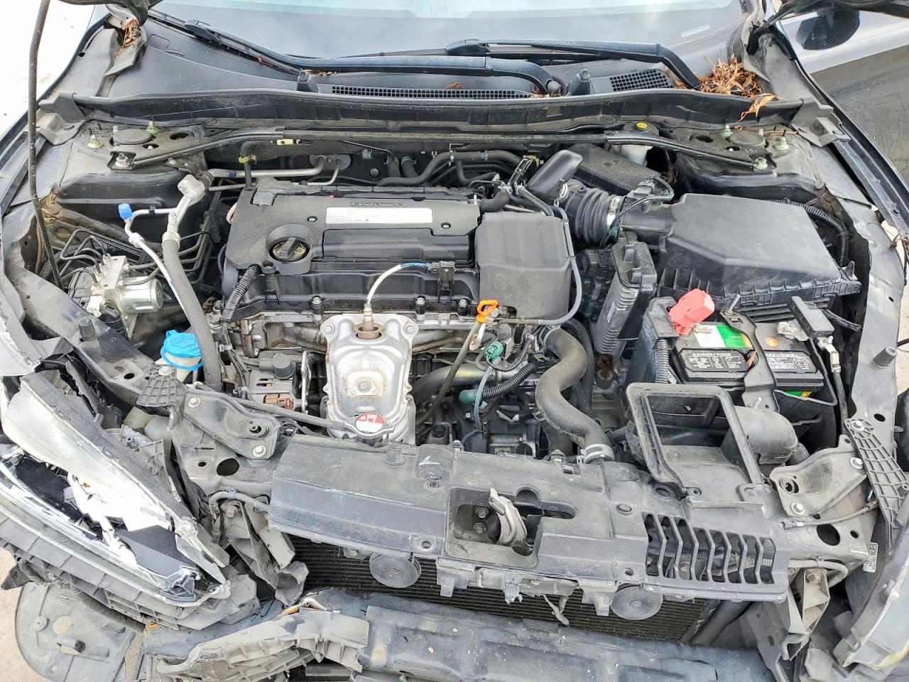 2014 HONDA ACCORD EX photo 11