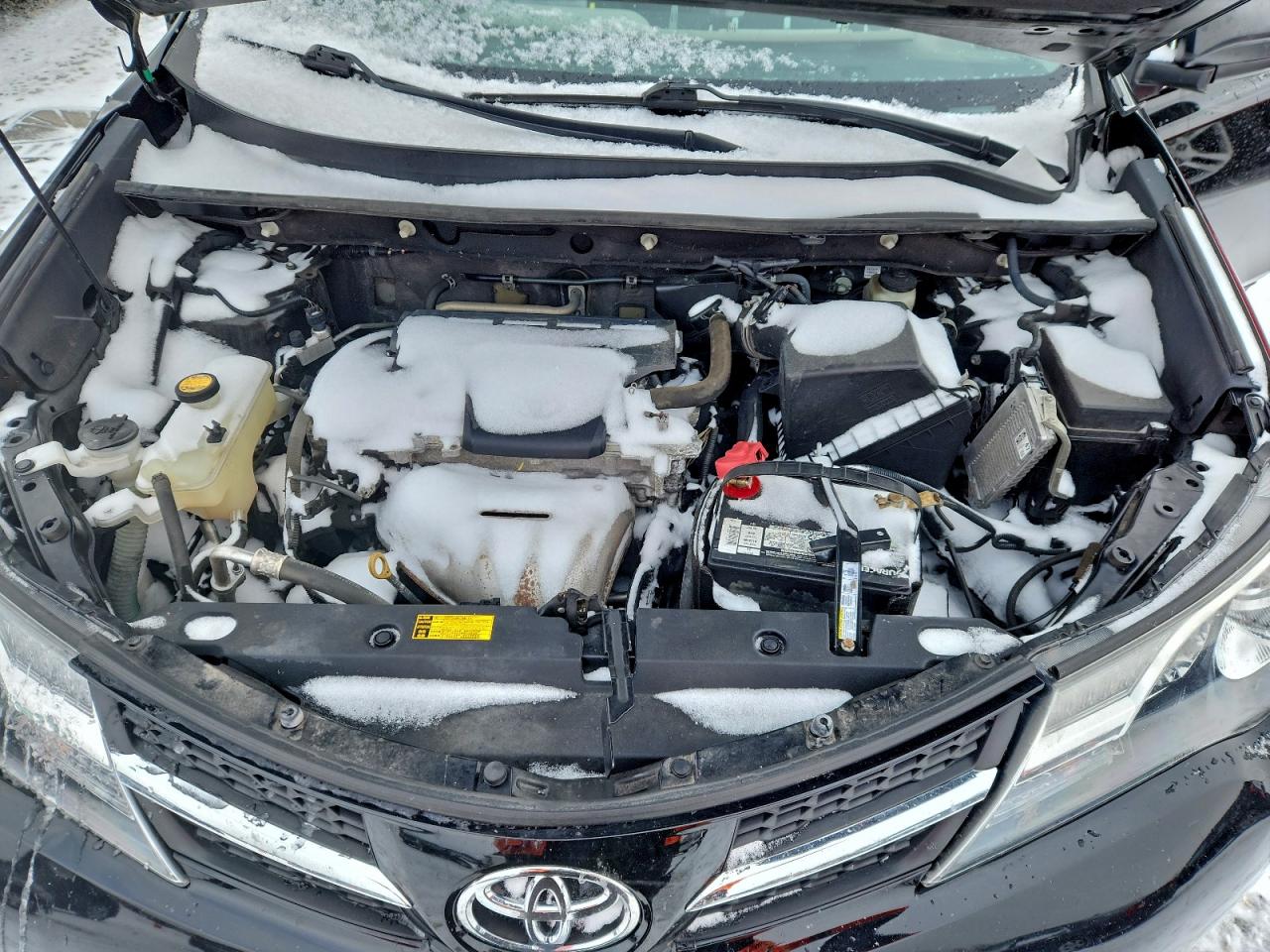 2015 TOYOTA RAV4 LE photo 11
