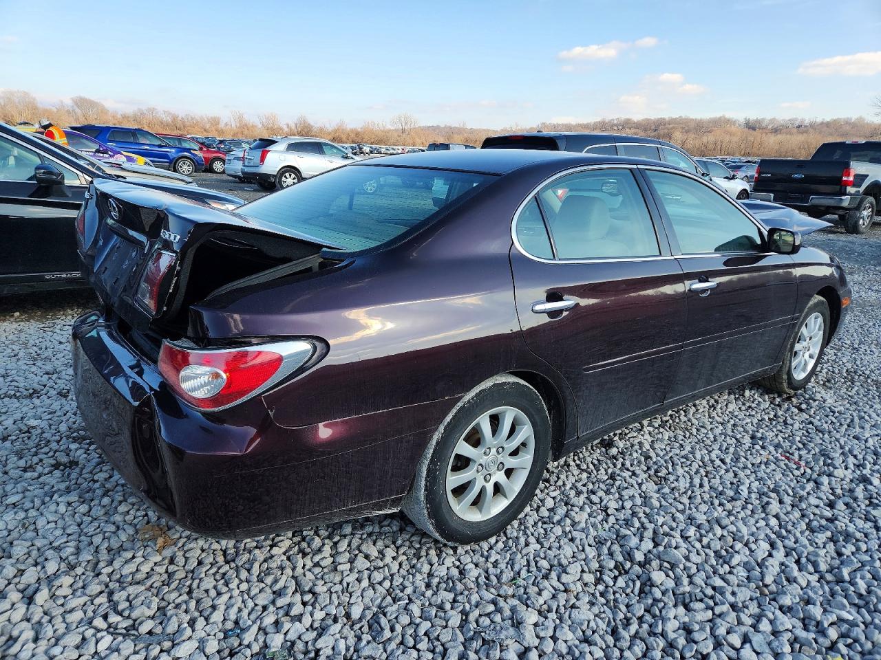 2003 LEXUS ES 300 photo 3