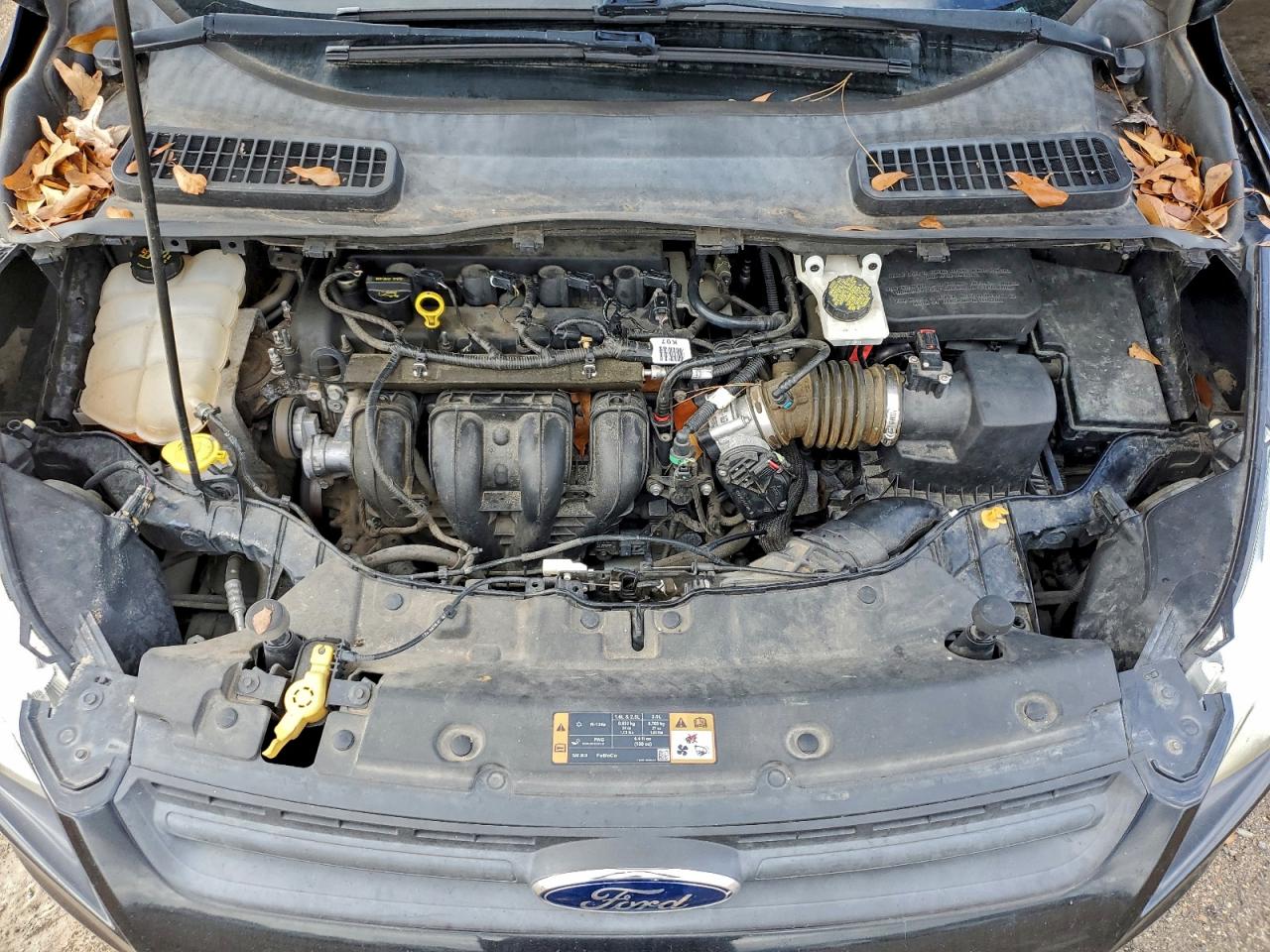 2015 FORD ESCAPE S photo 12