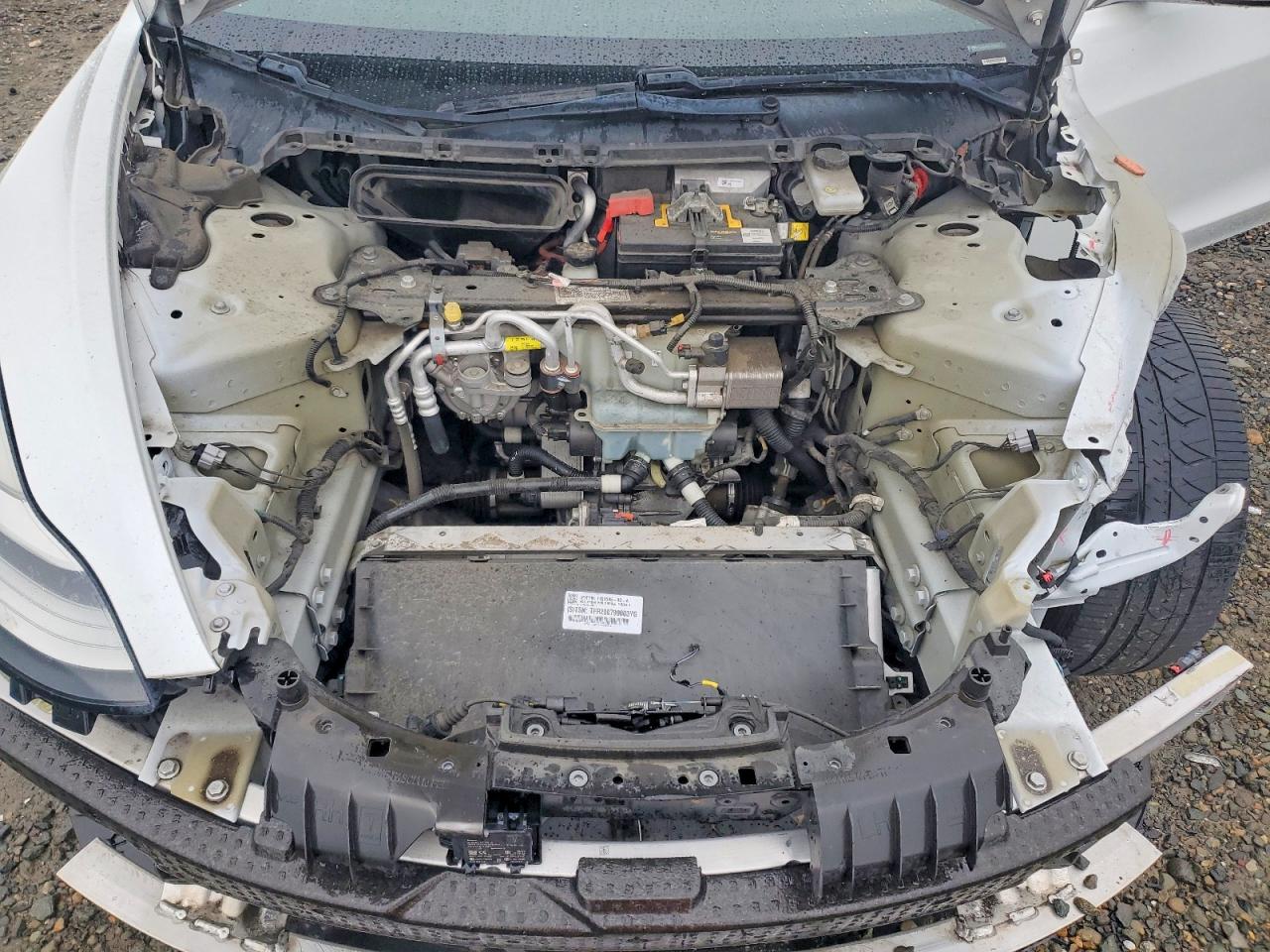 2020 TESLA MODEL 3 photo 21