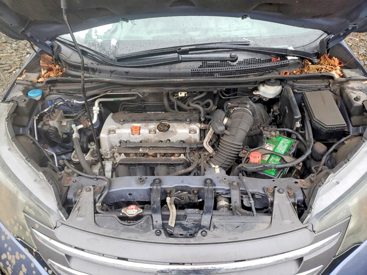 2014 HONDA CR-V EX photo 12