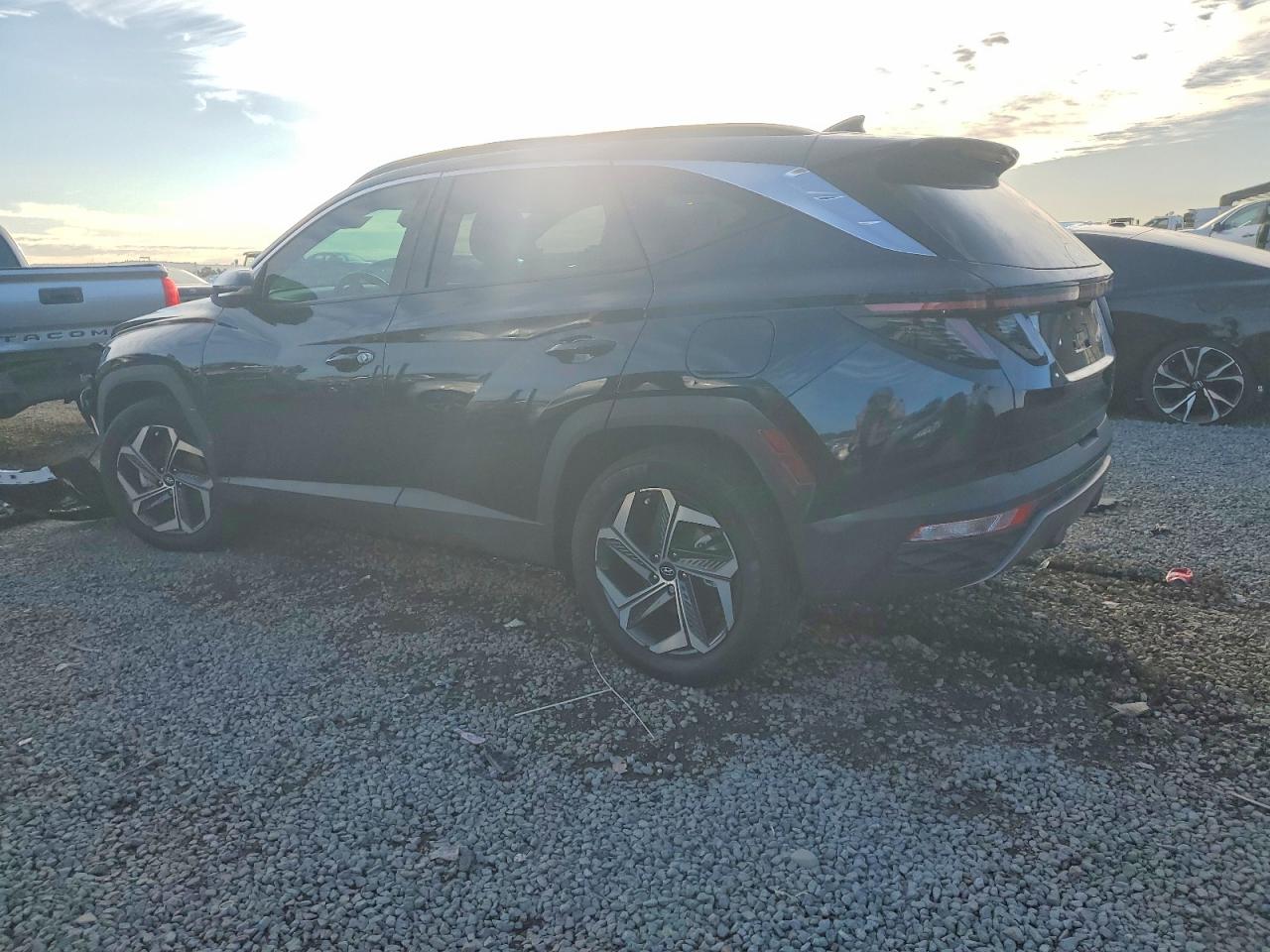 2024 HYUNDAI TUCSON LIMITED photo 3