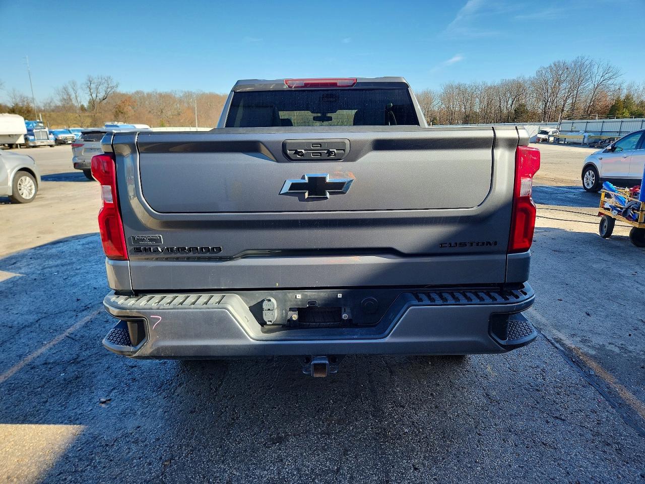 2021 CHEVROLET SILVERADO K1500 CUSTOM photo 6