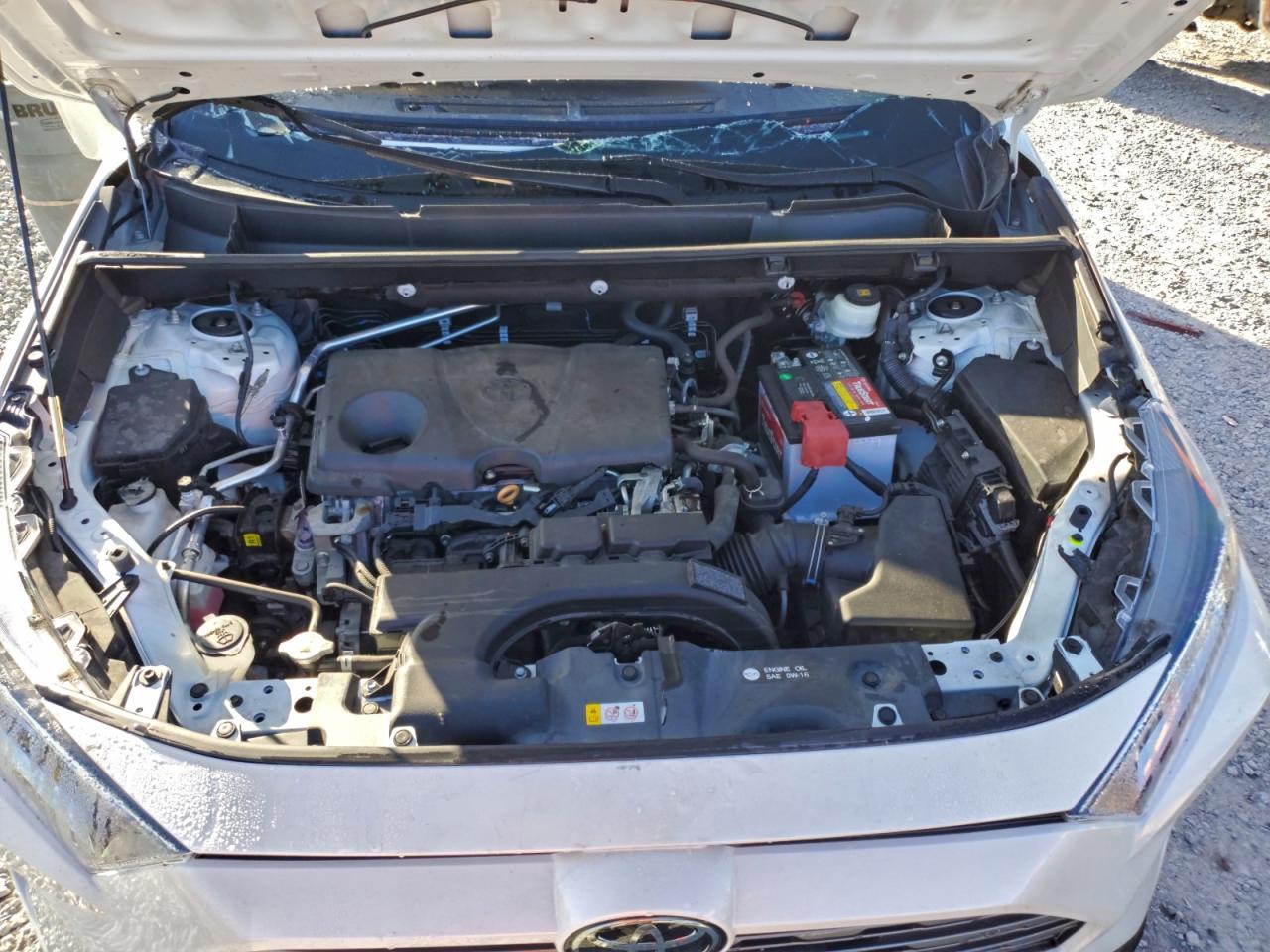2019 TOYOTA RAV4 LIMITED photo 12