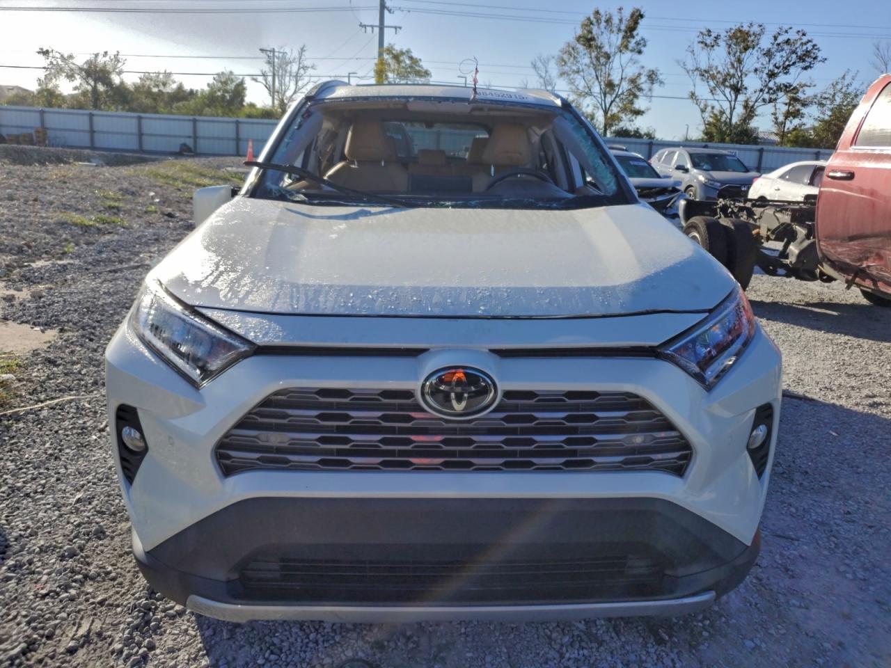 2019 TOYOTA RAV4 LIMITED photo 5