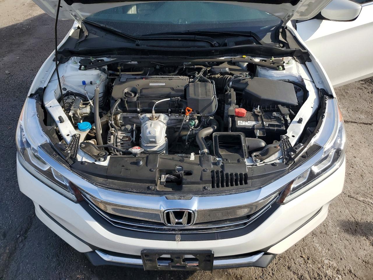 2017 HONDA ACCORD SPORT SPECIAL EDITION photo 11
