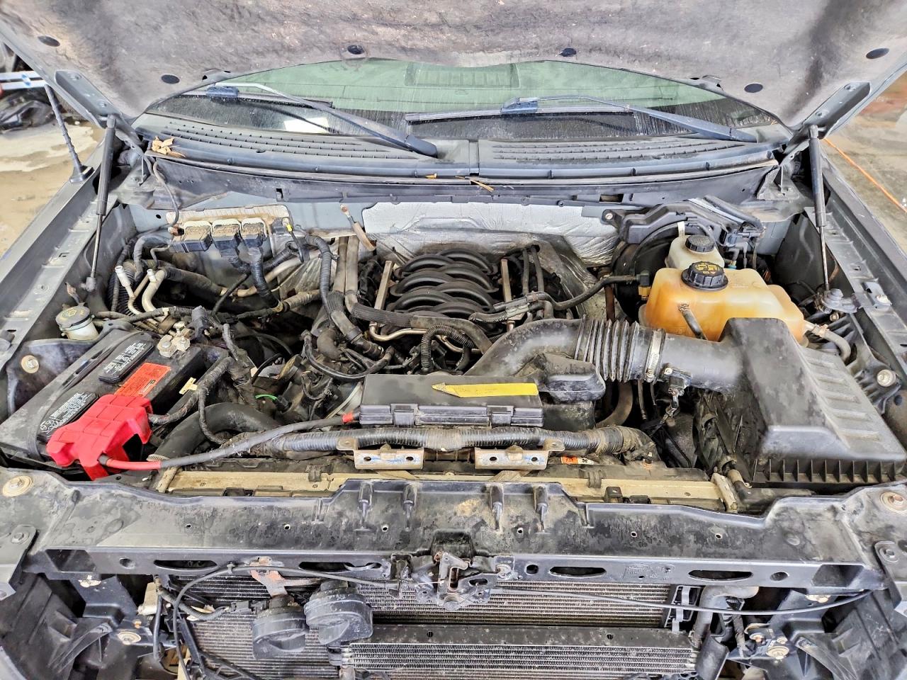 2011 FORD F150 SUPERCREW photo 11