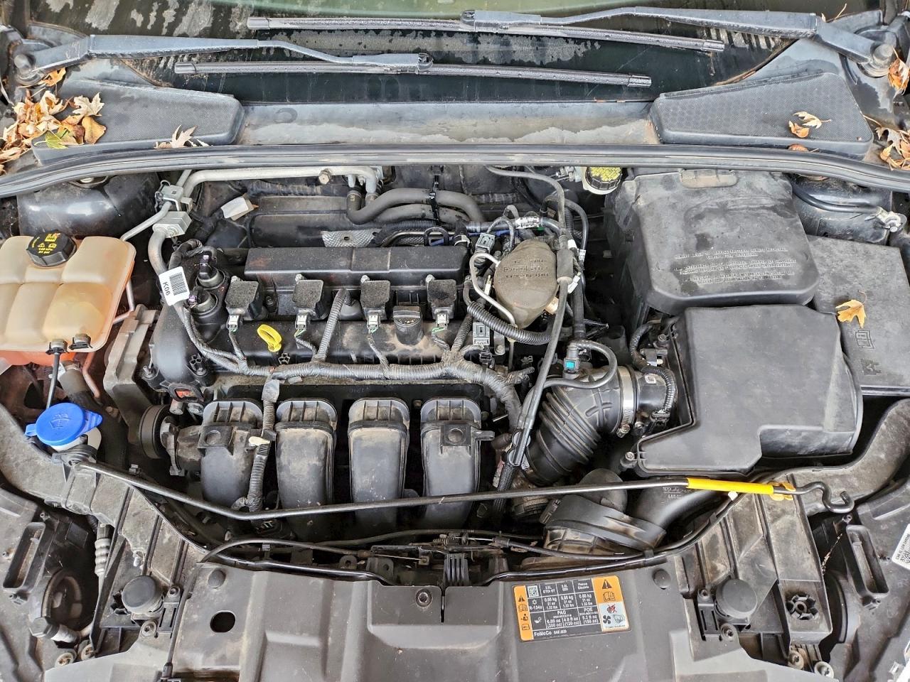 2015 FORD FOCUS SE photo 11