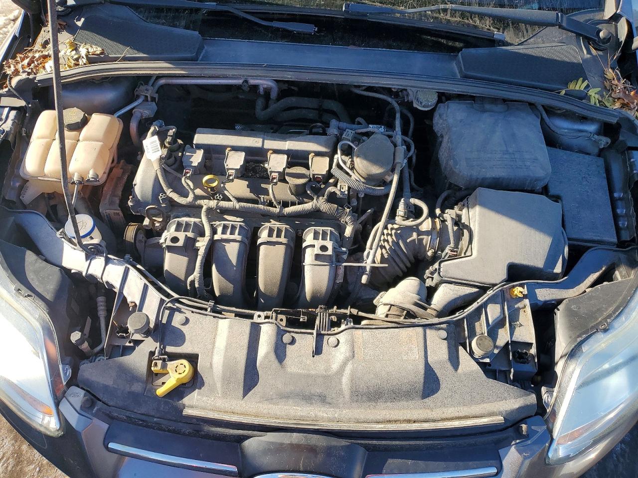 2014 FORD FOCUS SE photo 11