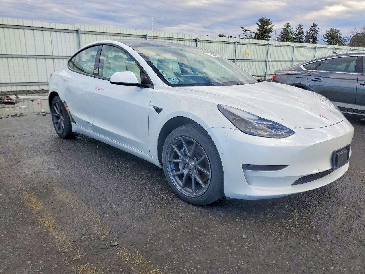 2021 TESLA MODEL 3 photo 7