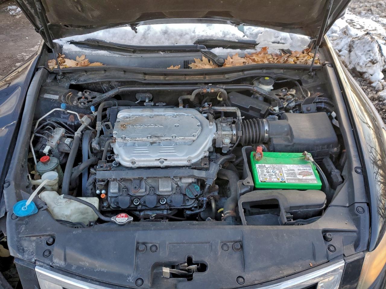 2010 HONDA ACCORD EXL photo 11