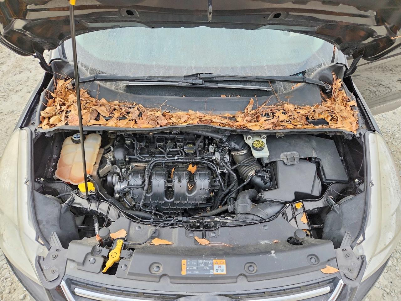 2013 FORD ESCAPE SEL photo 23