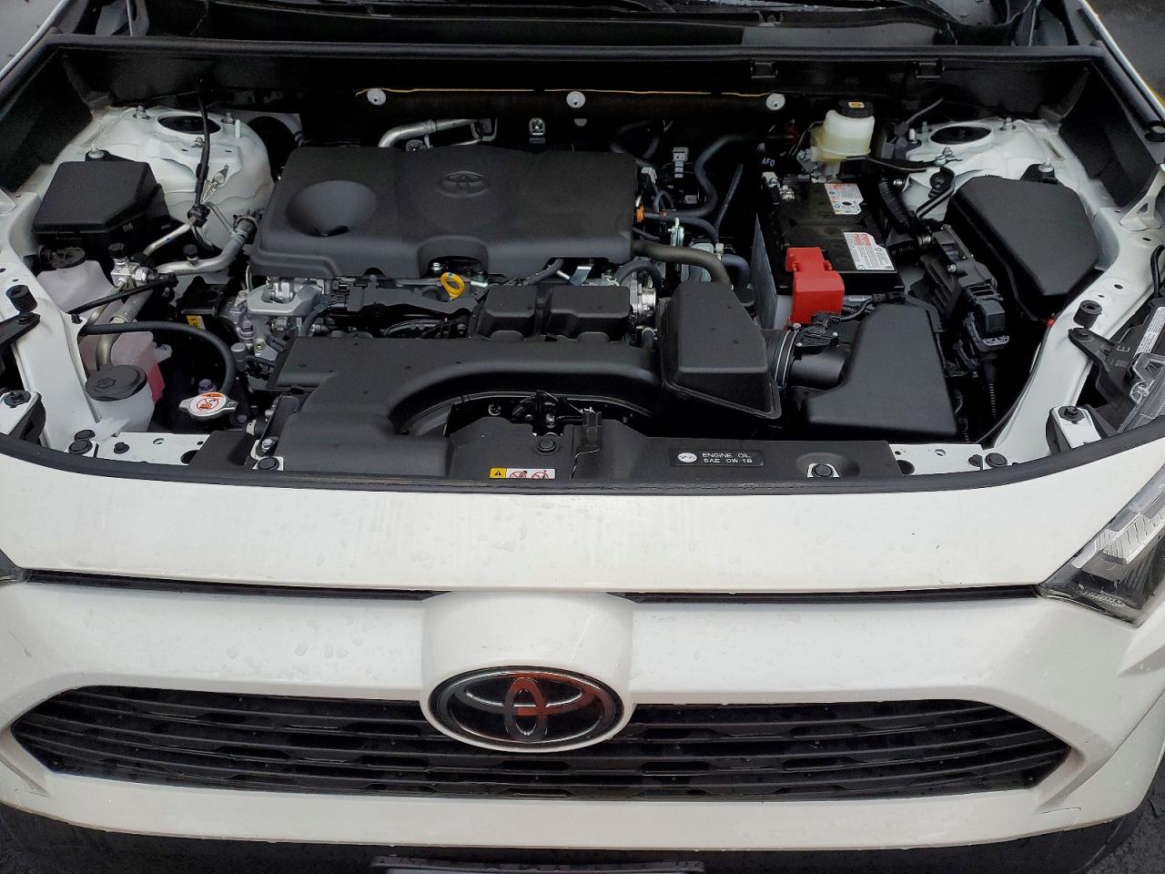 2025 TOYOTA RAV4 XLE photo 11