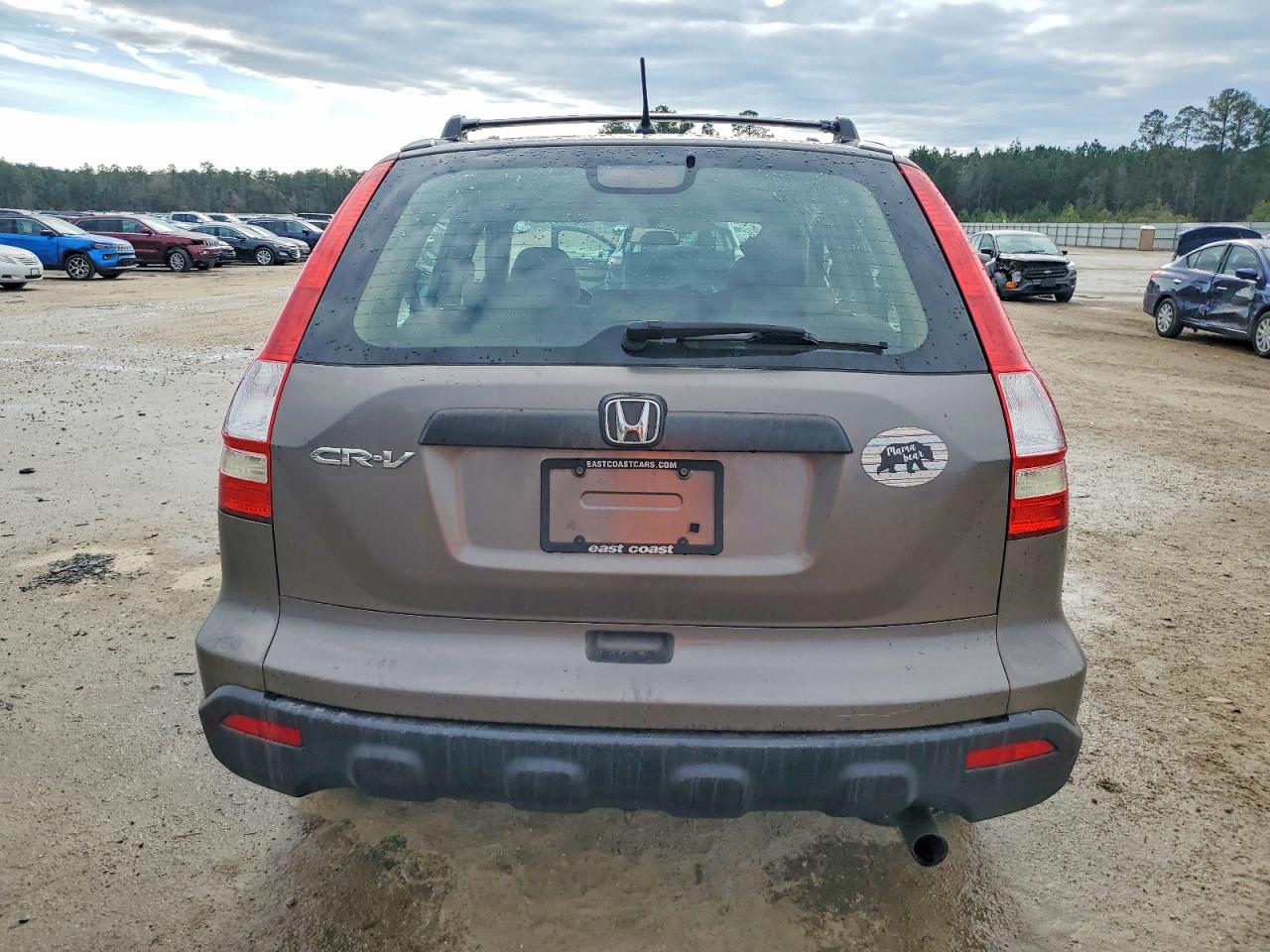 2009 HONDA CR-V LX photo 6