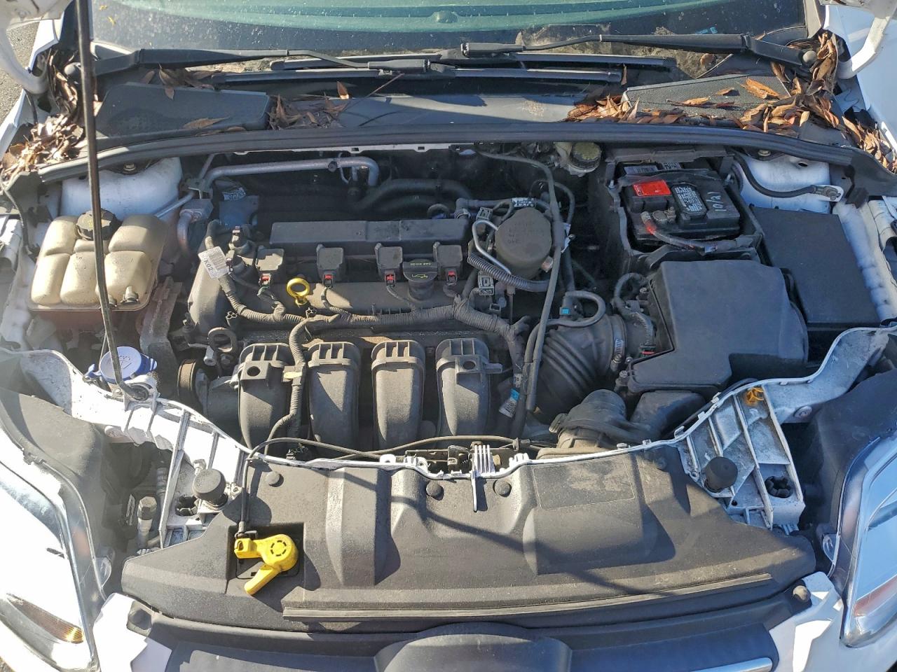 2014 FORD FOCUS SE photo 11